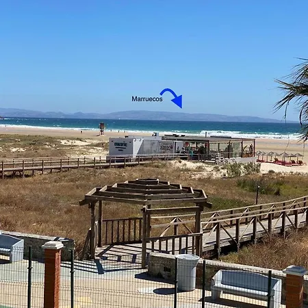 Tortuga's Paradise